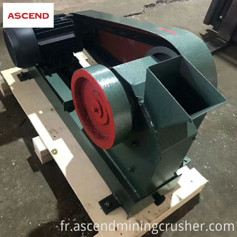 Mini Jaw Crusher 6